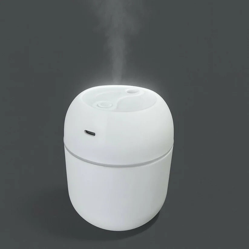 H2O Humidifier Aroma Diffuser